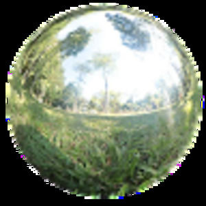 Meet your Posher, Eva